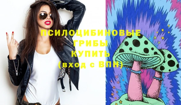 крисы Алексин