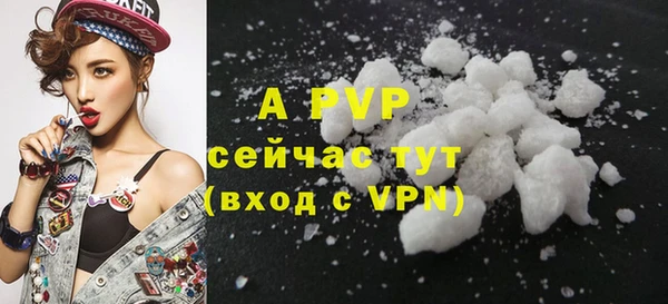 твердый Сатка