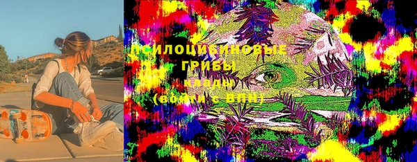 твердый Алзамай