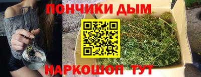 apvp Можга