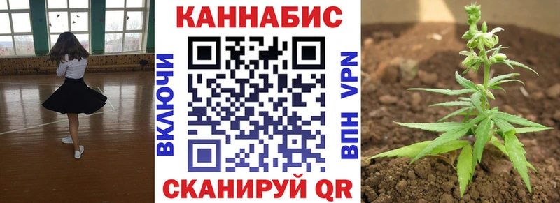 Бошки марихуана гибрид  Беслан 